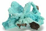 Chrysocolla Pseudomorph - Lupoto Mine, DR Congo #280756-1